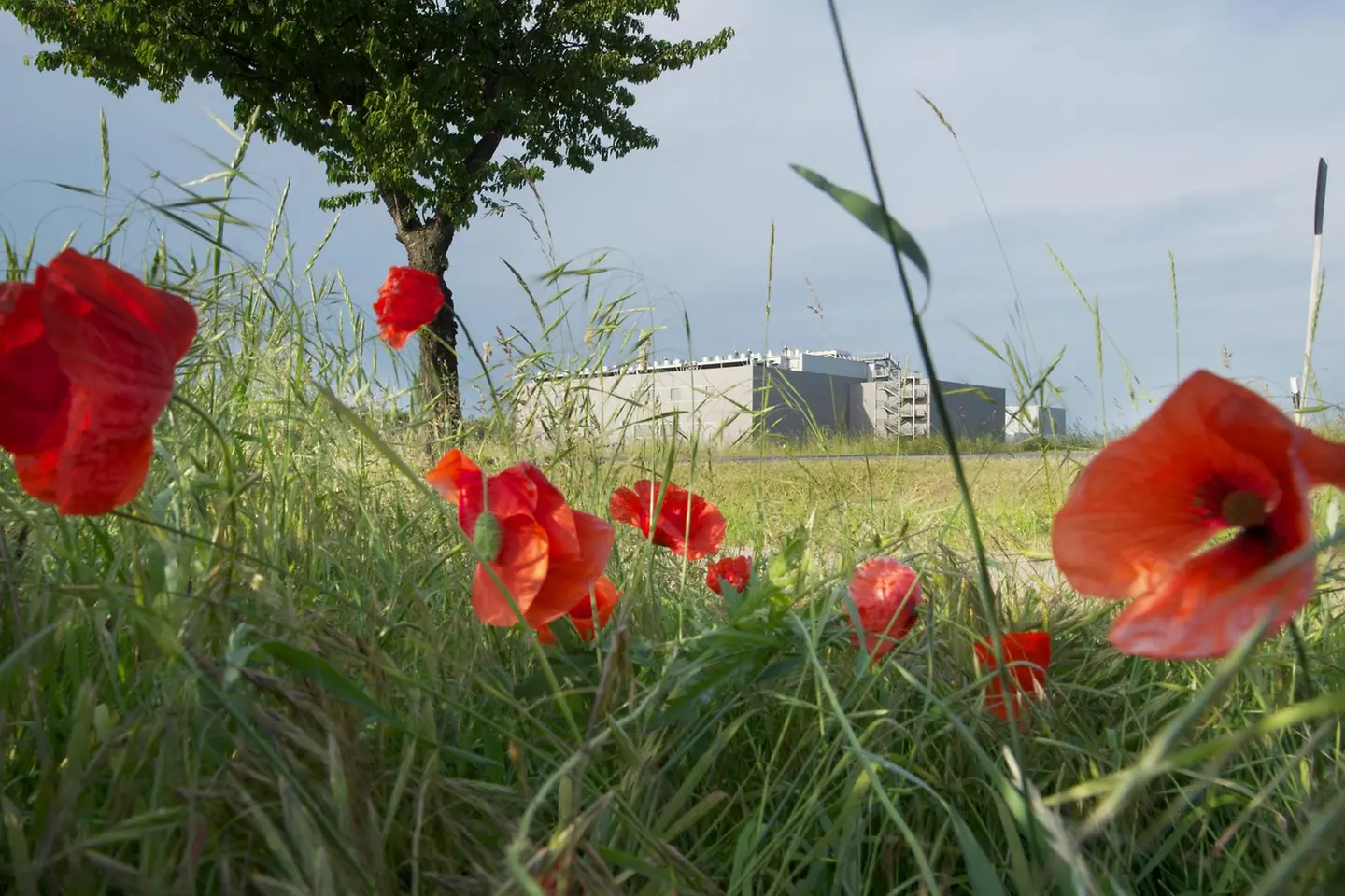 Aussenansicht des Cloud Rechenzentrum in Biere
