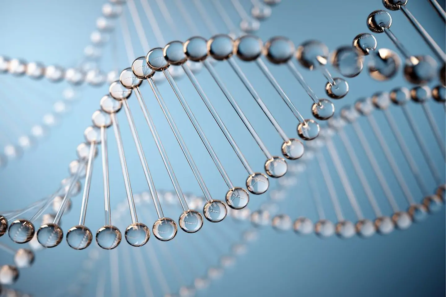 Silver gene structure DMEA 2025