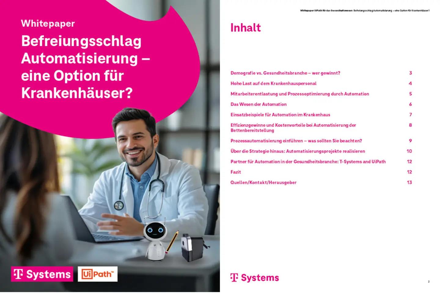 Titelblatt und drei Folgeseiten des Whitepapers als Screenshot