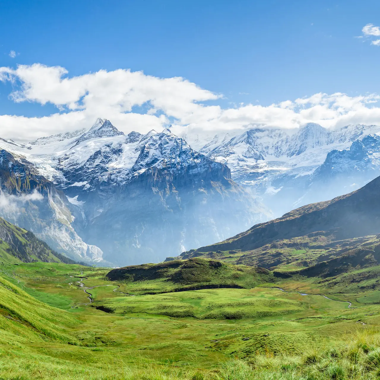 Schweizer Alpen mit grüner Wiese im Vordergrund und Gebirge im Hintergrund