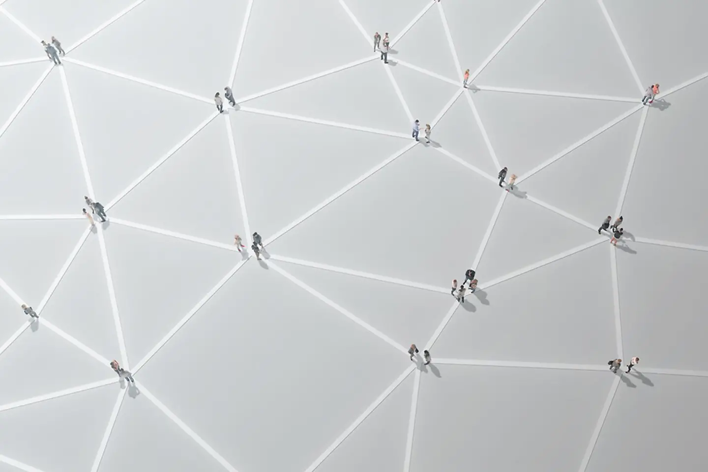 people standing on network lines