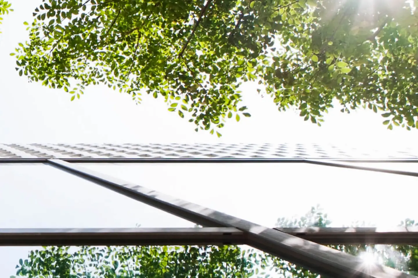 Frog perspective of a house with trees reflected in the glass facade