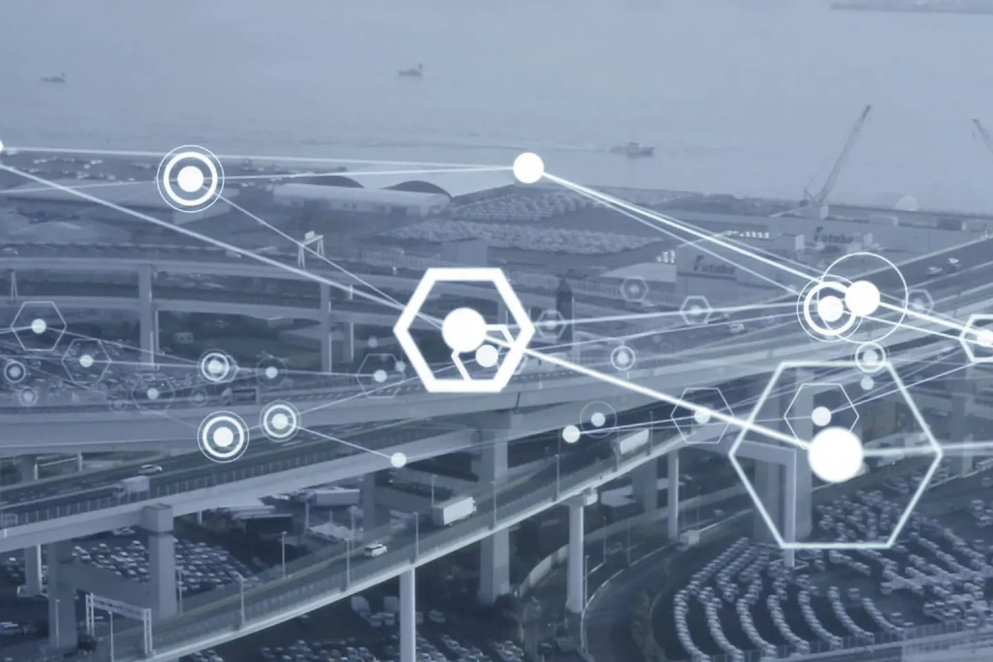 A city with bridge overlaid with interconnections